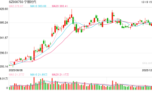 碳酸锂狂飙的4天：多空决战宜春，投资者半夜蹲守矿山