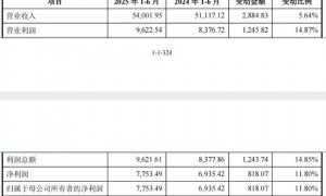 下周，比亚迪、理想的“小伙伴”来了