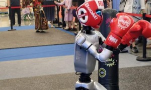 宇树推进IPO，王兴兴谈行业痛点：硬件现阶段够用，具身智能AI拖后腿｜聚焦2025WRC