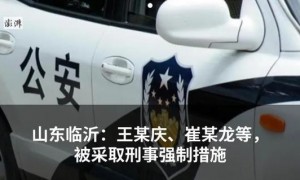 “俄罗斯外籍院士”33亿投资项目流产？官方回应