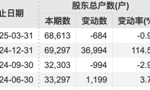 71岁万通发展董事长，被北京市公安局拘留