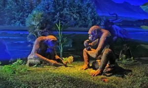 原创 
            人类起源：地球原本没有人，第一个男人和女人是如何诞生的？