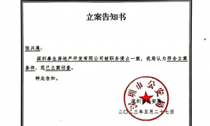 一起股权转让迷局：2万元“套走”服刑商人公司数亿资产 十余年后嫌疑人被公诉