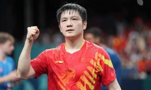 樊振东新身份！美国职业乒乓球大联盟投资人