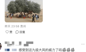 敦煌鸣沙山月牙泉“夫妻柳”被大风吹断裂？景区回应：已采取保护措施