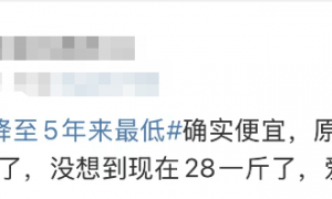 杭州一老板：牛肉跌到5年来最低价！网友：连吃3顿