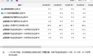 国家统计局发布9月份分年龄组失业率数据