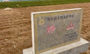 网友吵翻了，全国最矮的山仅0.6米高？当地回应：确为县级文物保护单位，专家说是山是石需要勘探