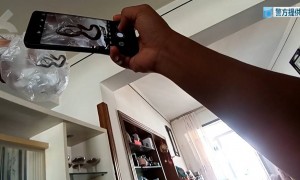 太吓人！夫妻二人旅游回家，一开门就看到客厅爬满蛇